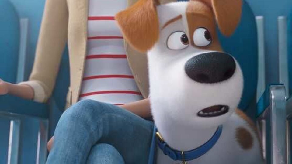 Пес Макс опиниться на прийомі у ветеринара