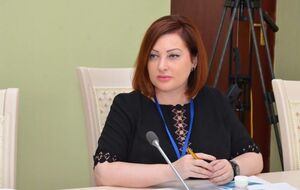 Ольга Варченко считает происходящее "изящной и дорогостоящей провокацией"