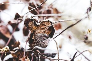 В Україні похолодає