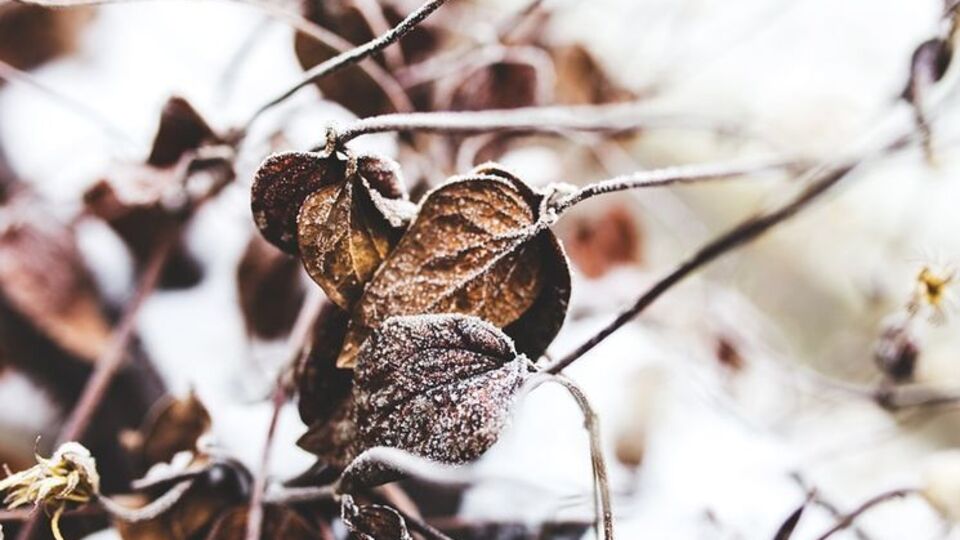 В Украине похолодает