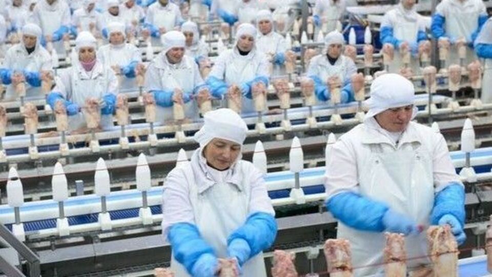 Всего в российском санкционном списке 68 юридических лиц из Украины. "Мироновский хлебопродукт" – под №32
