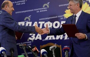 Политики сообщили, что их цель – "активный нейтралитет Украины в военно-политической сфере и неучастие в любых военно-политических союзах, политика партнерства со всеми странами-соседями"