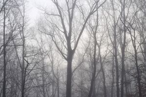 10 декабря ожидается туман в северных, центральных и южных областях