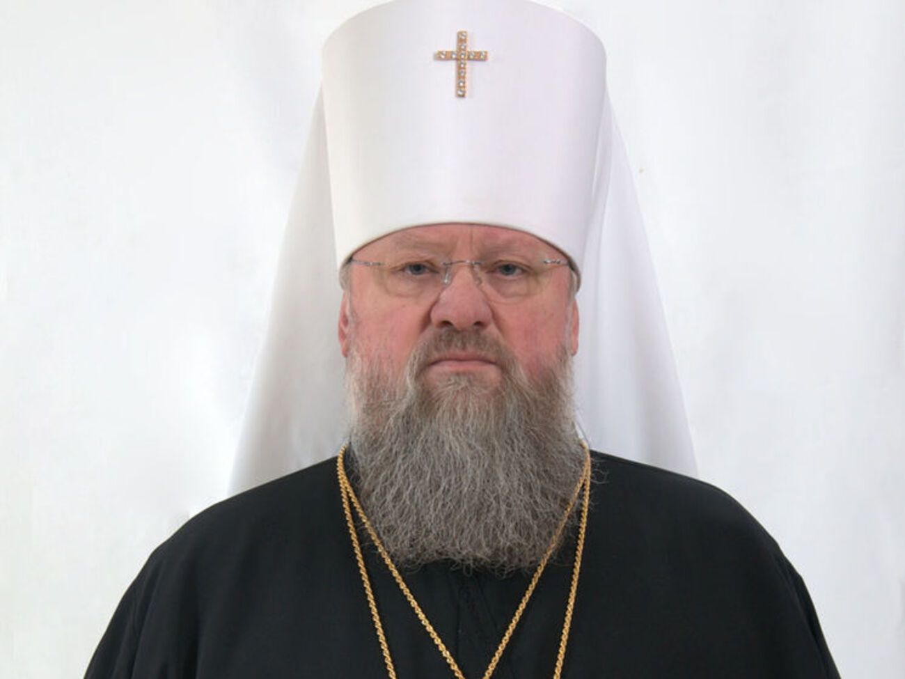 За день до инцидента митрополит Иларион возвращался в Донецк из Киева "после заседания Священного синода УПЦ" и проблем не возникло