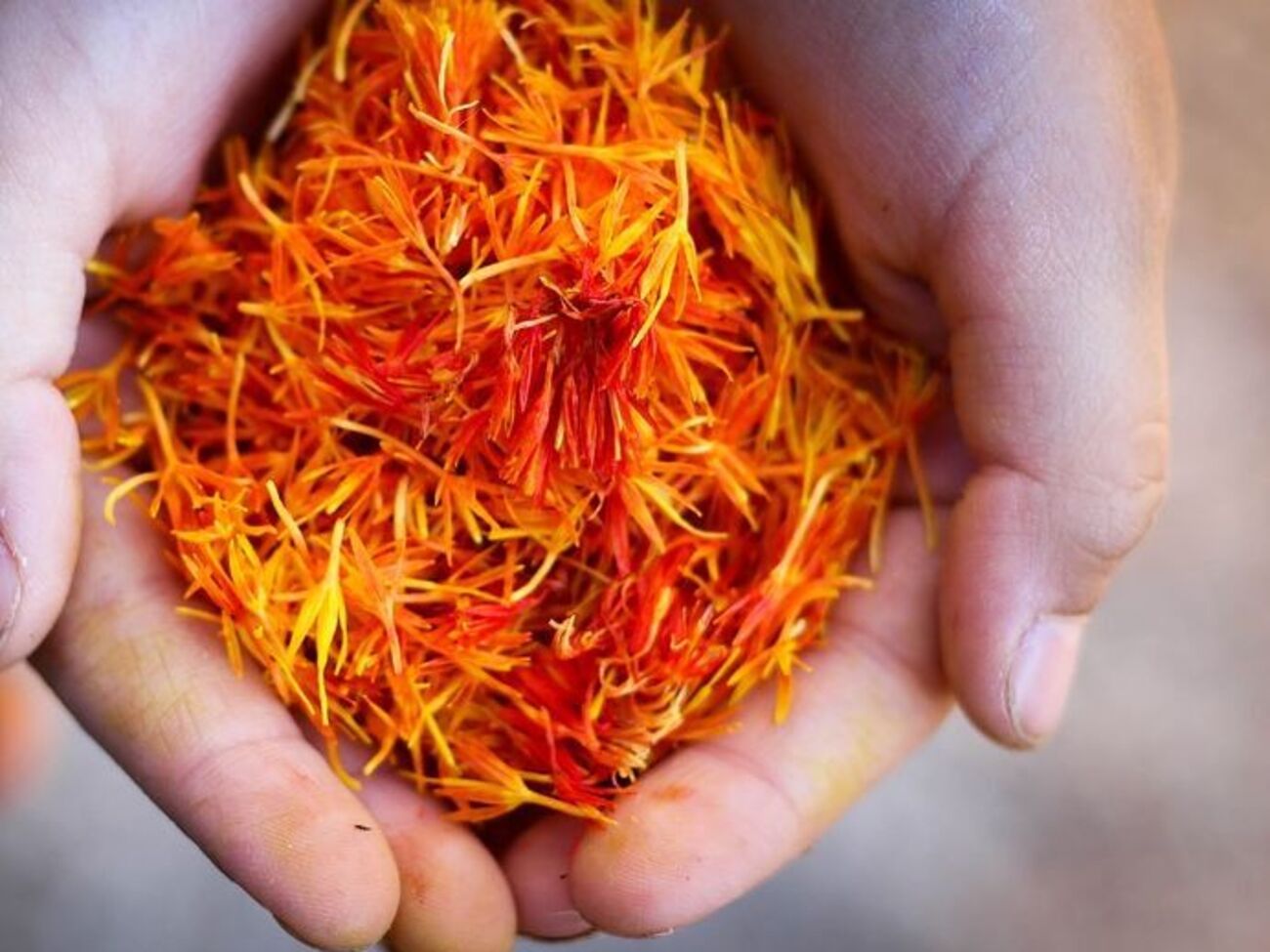 Шафран&nbsp;&ndash; дорогостоящая специя