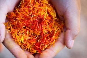 Шафран – дорогостоящая специя