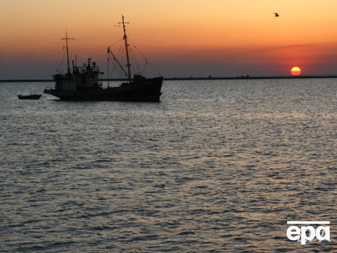 В период с 26 ноября по 7 декабря 2018 года из Азовского моря выловили более 920 тонн рыбы