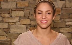 Налоговая утверждает, что деньги певица задолжала за период с 2012-го по 2014 год