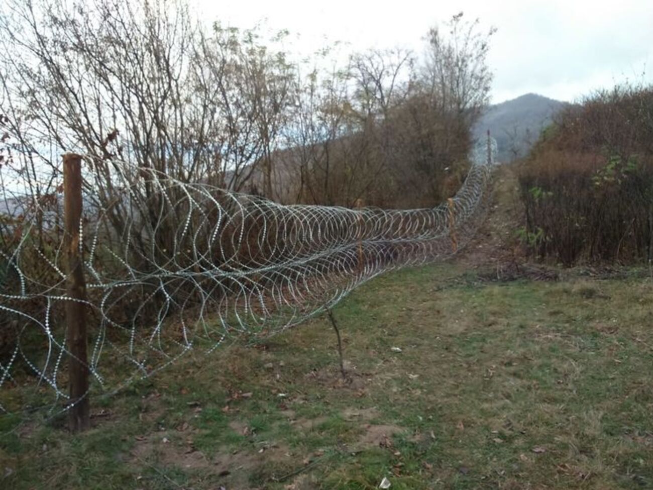 На Закарпатті вздовж кордону встановили колючий дріт для боротьби з контрабандою. Фоторепортаж