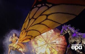 Путин считает, что не стоит давать зарубежному Cirque du Soleil преимущества перед российским цирком