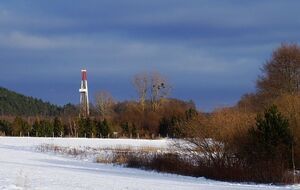 В Украине Nafta с 2016 года совместно с американской Cub Energy Inc. занимается разведкой и добычей газа в Закарпатской области