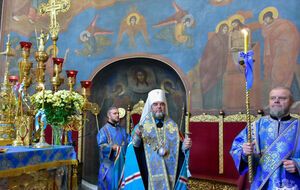Симеон: Мы понимали, что даже без участия в соборе можем попасть под тот цеп, который размолотит фасоль и выбросит ее из стручка