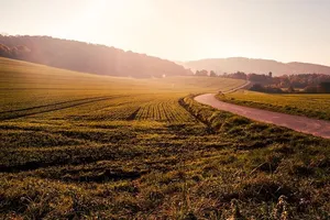 Мораторій на продаж землі діє в Україні з 2002 року