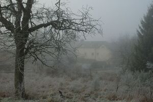 Туман можливий у центральних та південних областях України