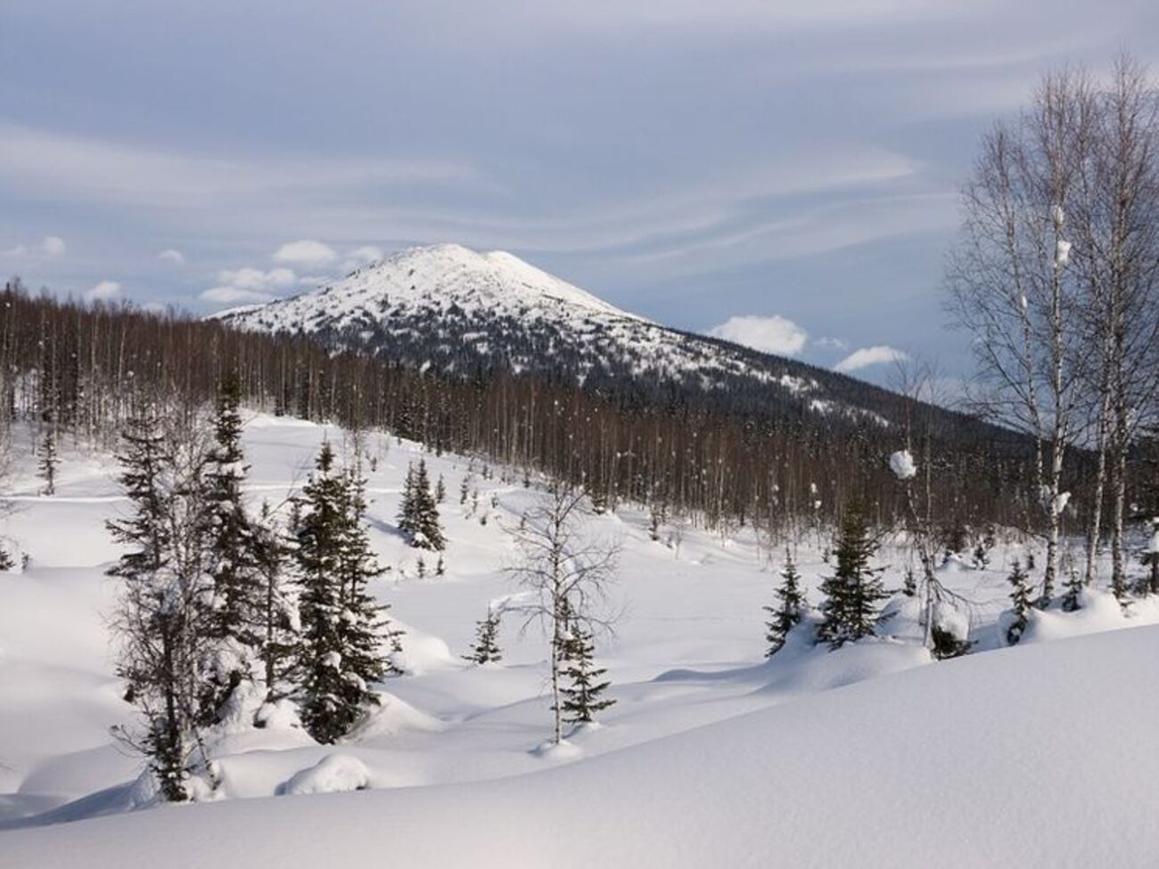Ребенок сперва пошел по тайге&nbsp;в противоположную от села сторону