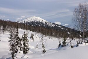 Ребенок сперва пошел по тайге в противоположную от села сторону