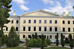 Пострадавшего депутата направили в больницу имени Мечникова в Днепре