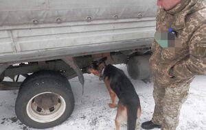 Мужчина спрятал в машине 28 граммов тротила