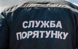 По данным ГСЧС, во время пожара никто не пострадал