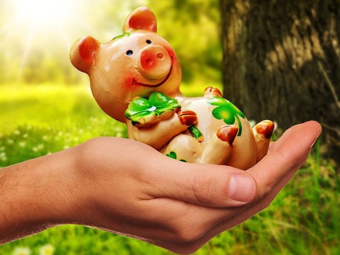 Символом 2019-го року за китайським календарем стане жовта земляна свиня