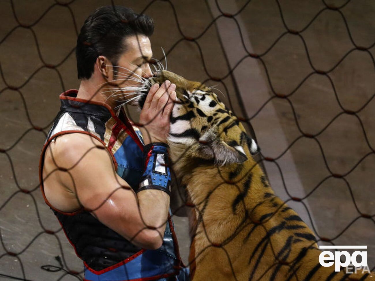 Кабмин предложил циркам&nbsp;передать диких животных в специальные заповедники