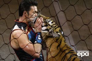 Кабмин предложил циркам передать диких животных в специальные заповедники