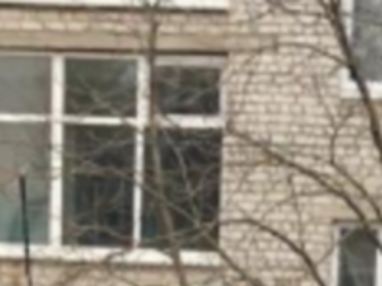 Чорнобук заявив, що під час затримання його побили