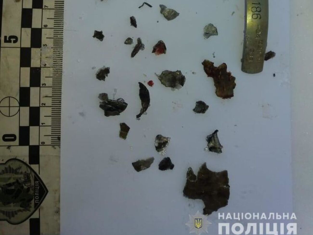 Сотрудники полиции изъяли с места происшествия запал ручной гранаты РГД-5