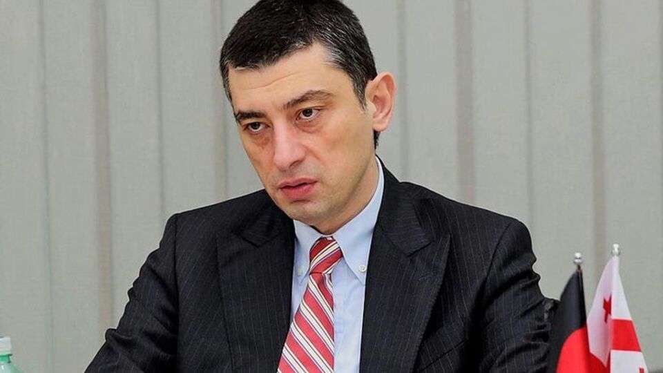 Гахария рассказал о расследовании инцидента с задержанием украинцев в Тбилиси