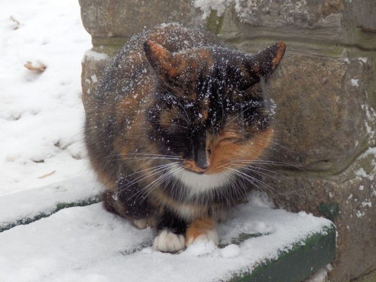 В Украине 5 декабря ожидается непогода