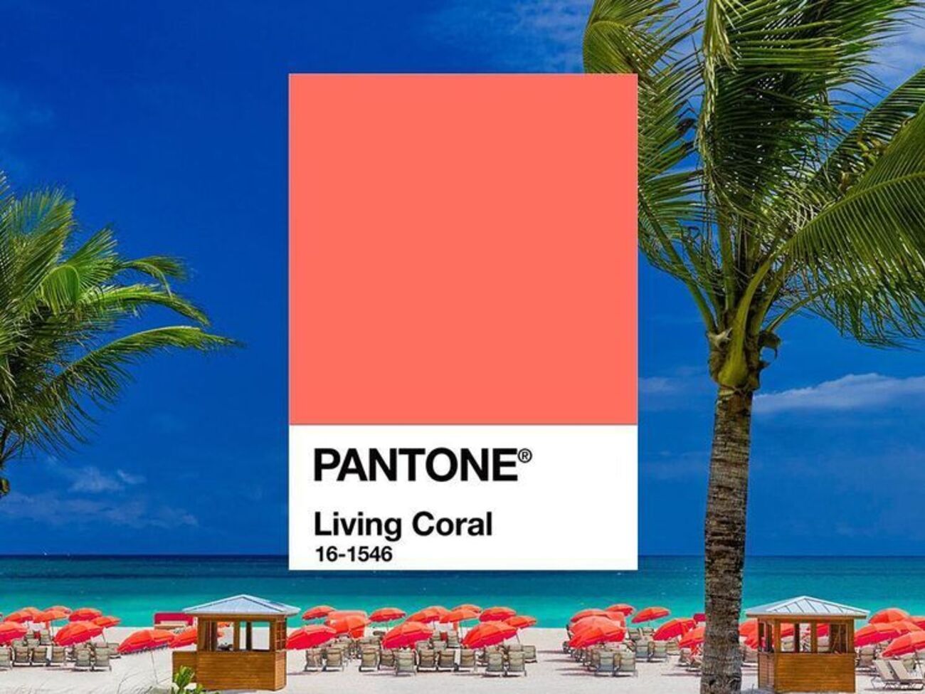 Ведущим цветом 2019 года станет Living Coral &ndash;&nbsp;кораллово-оранжевый цвет с&nbsp;золотистым подтоном