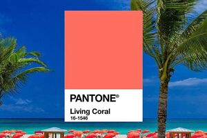 Ведущим цветом 2019 года станет Living Coral – кораллово-оранжевый цвет с золотистым подтоном