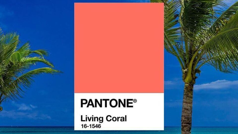 Провідним кольором 2019 року стане Living Coral – кораллово-оранжевий колір із золотистим підтоном