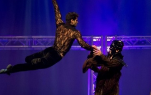 У Києві вперше виступить іспанський танцювальний колектив Los Vivancos, який потрапив до Книги рекордів Гіннеса як володар "Найшвидших ніг"