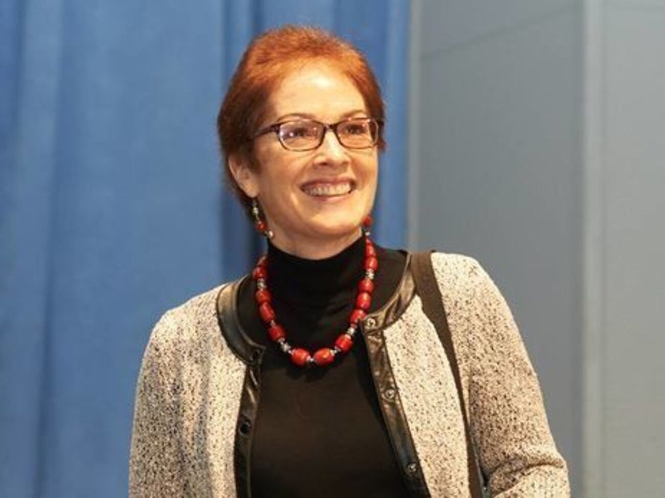 Йованович: Ні про який тиск не може бути й мови