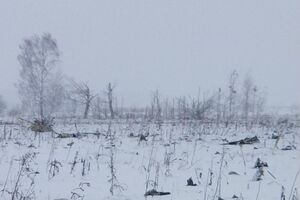 Уламки повітряного судна виявили в Раменському районі Московської області