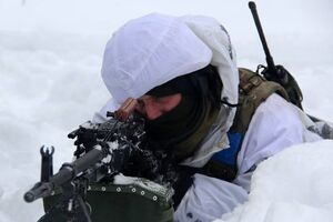 Наиболее интенсивный огонь боевики вели у Крымского Луганской области