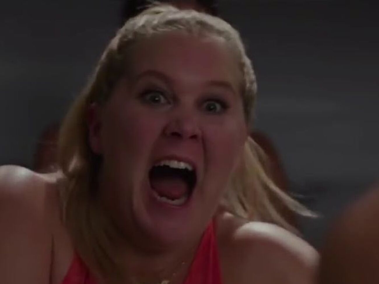 Эми Шумер исполнила главную роль