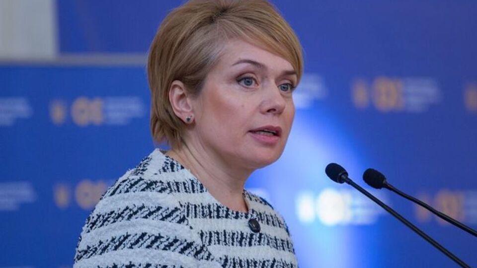 Гриневич назвала заяви Сіярто "абсолютно маніпулятивними"