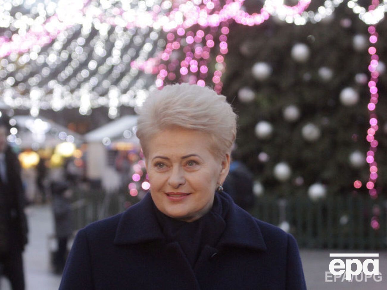 Грибаускайте рассказала об около 50 тыс. кибератак в Литве в 2017 году