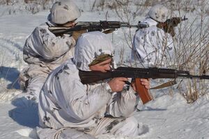 Українських військових обстрілювали на донецькому та луганському напрямках