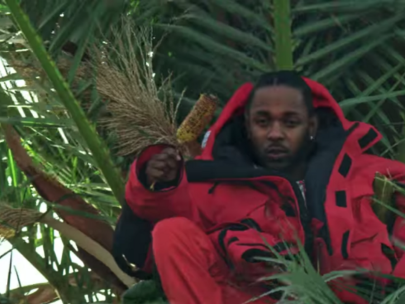 Ламар залез на пальму