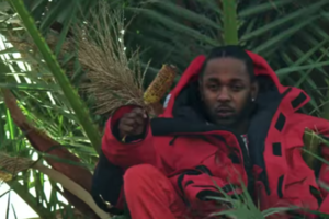 Ламар залез на пальму