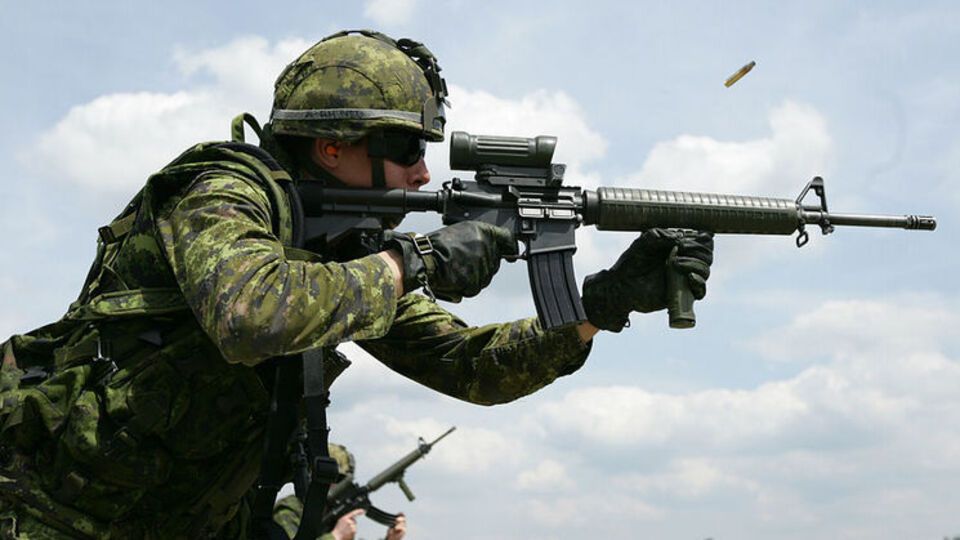 В Україні може пройти демонстраційний показ канадської зброї