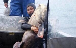 Рыбаков осудили за браконьерство