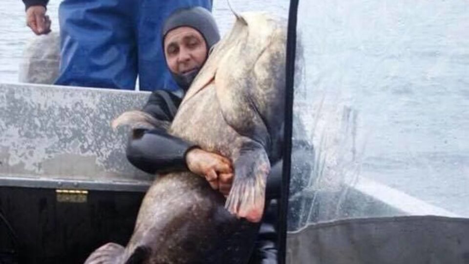 Рыбаков осудили за браконьерство