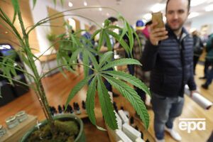 С 1 января в штате Калифорния легально употребляют марихуану в рекреационных целях