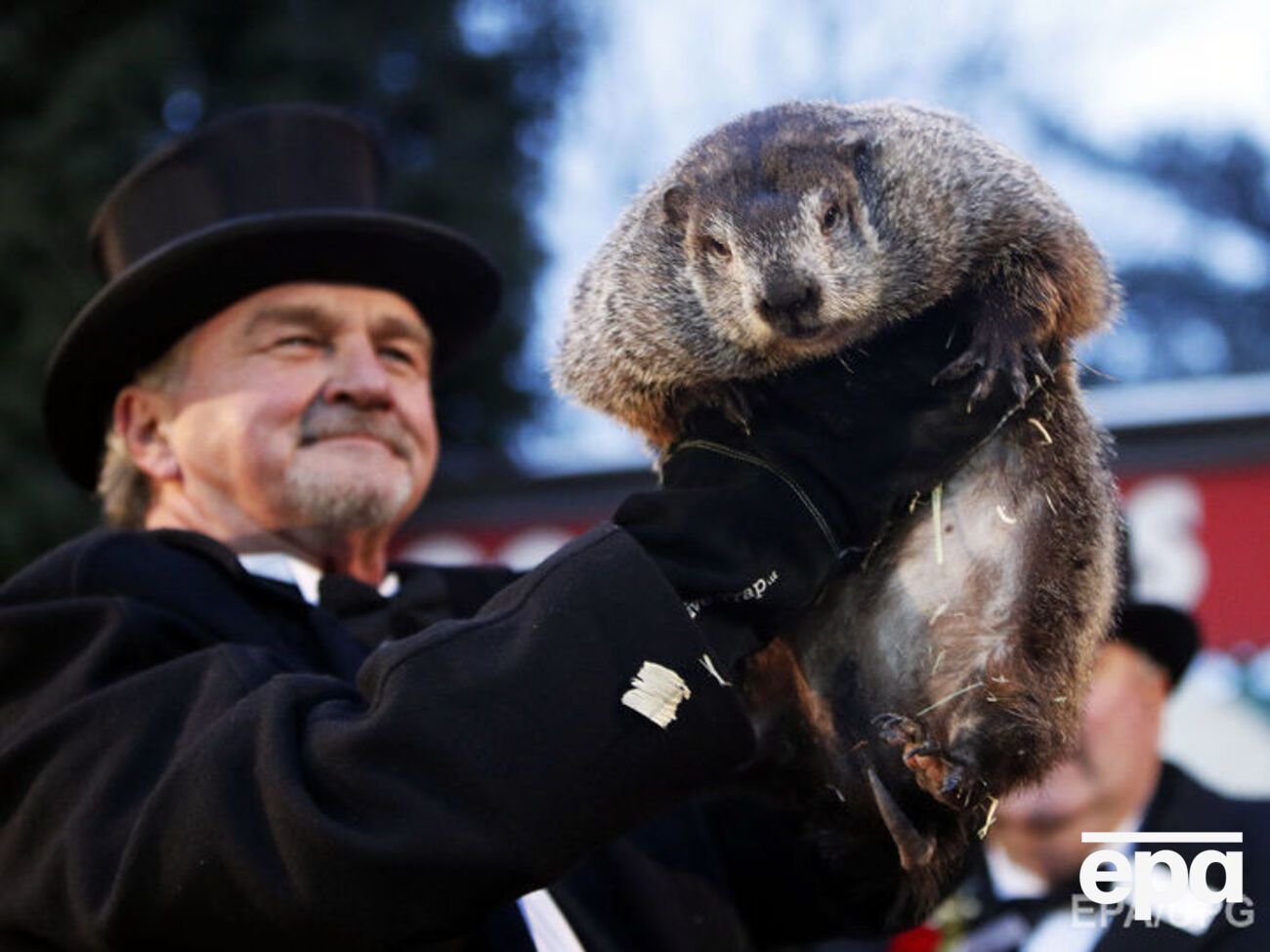 Сегодня отмечают День сурка