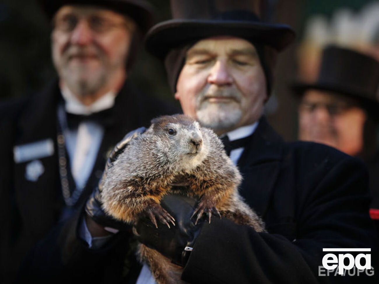 Сурок Фил предсказал, сколько продлится зима