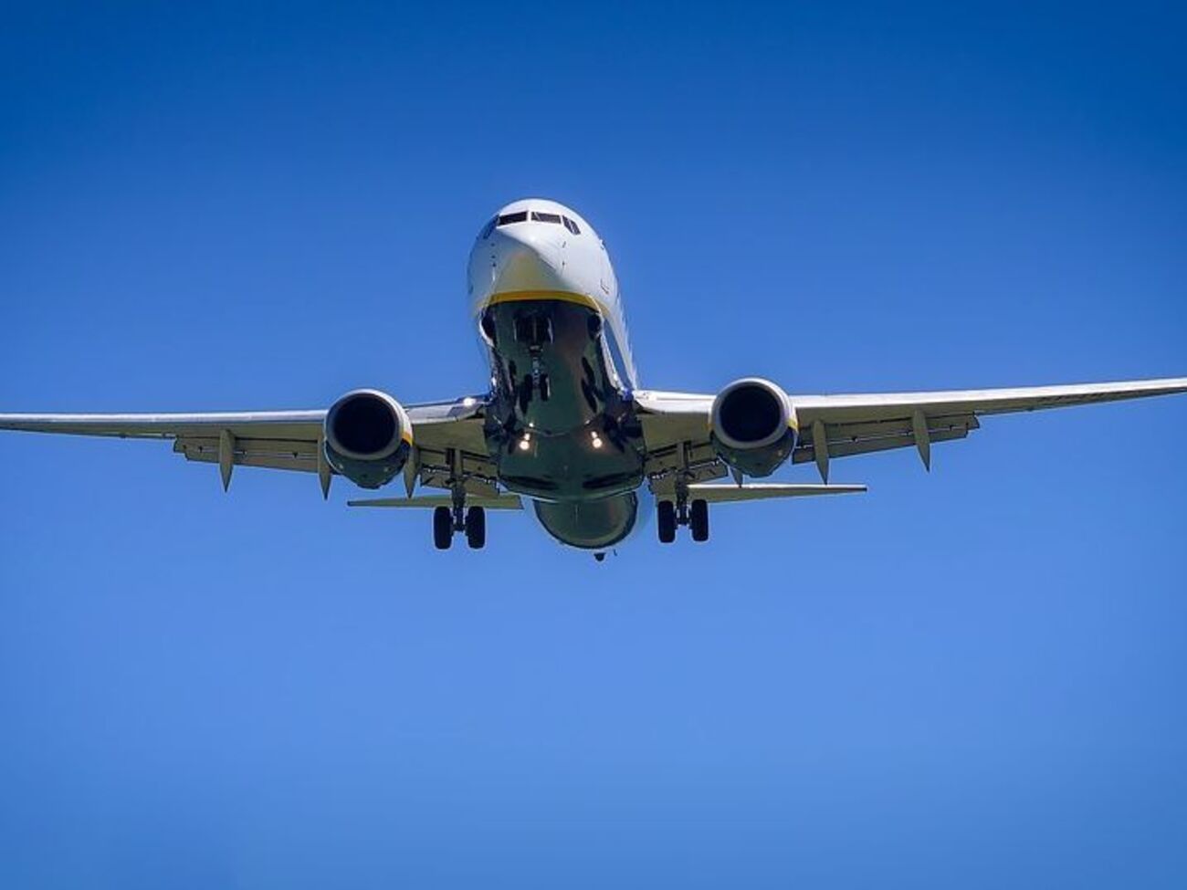 Із Німеччини вислали 65 грузинів